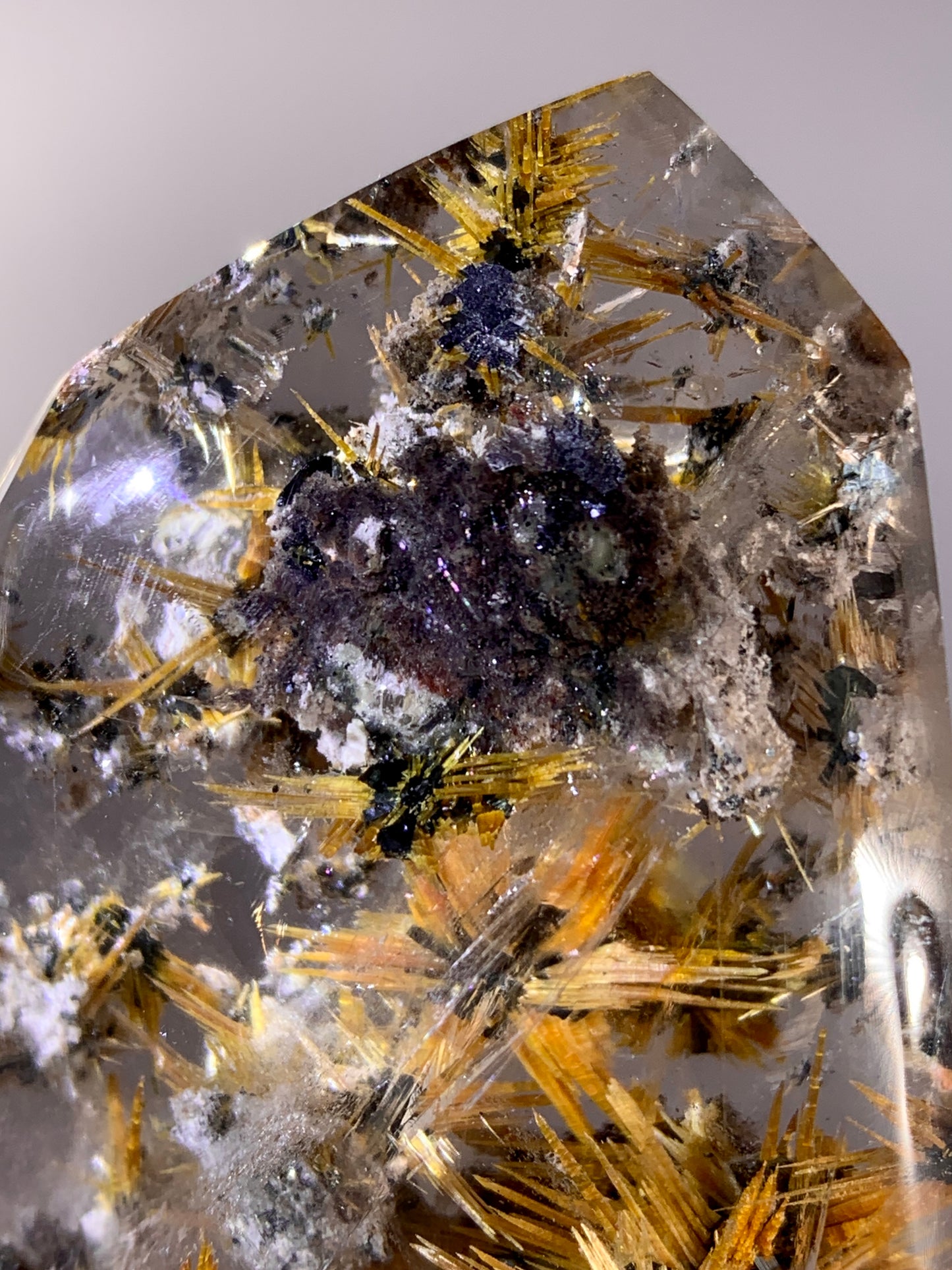 Collector's Grade Novo Horizonte Star Rutile with Garden & Shiny Hematite Self-Standing Freeform from Brazil