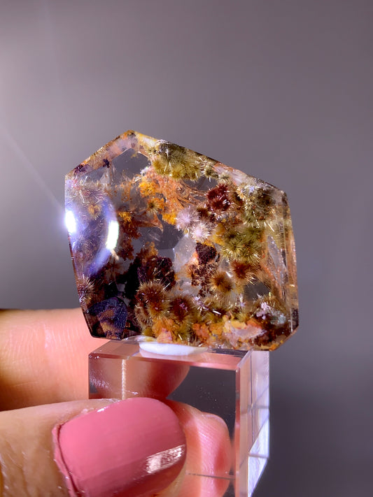 Collector’s Grade Rare Pink, Red & Gold Flower Rutile Garden Quartz Freeform | Brazil