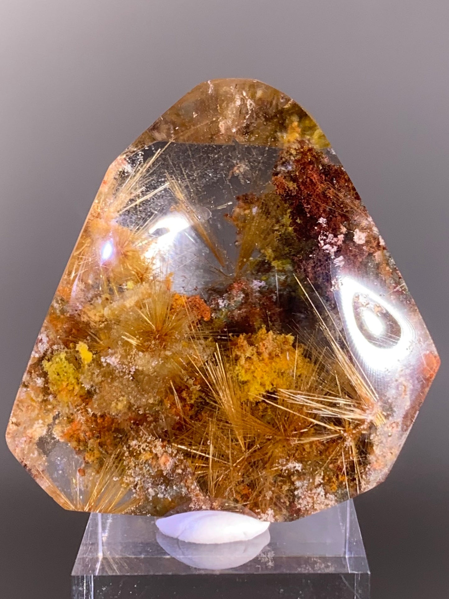 Scenic Gold Starburst Rutile in Colorful Garden Quartz — Semi‑Polished Freeform