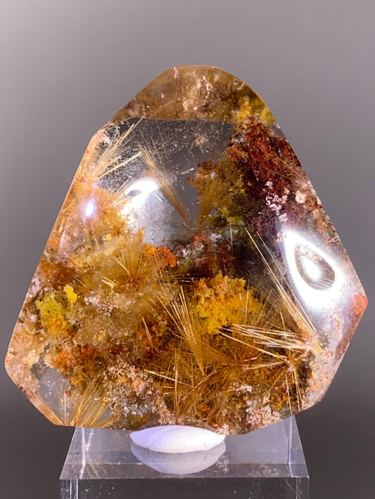 Scenic Gold Starburst Rutile in Colorful Garden Quartz — Semi‑Polished Freeform