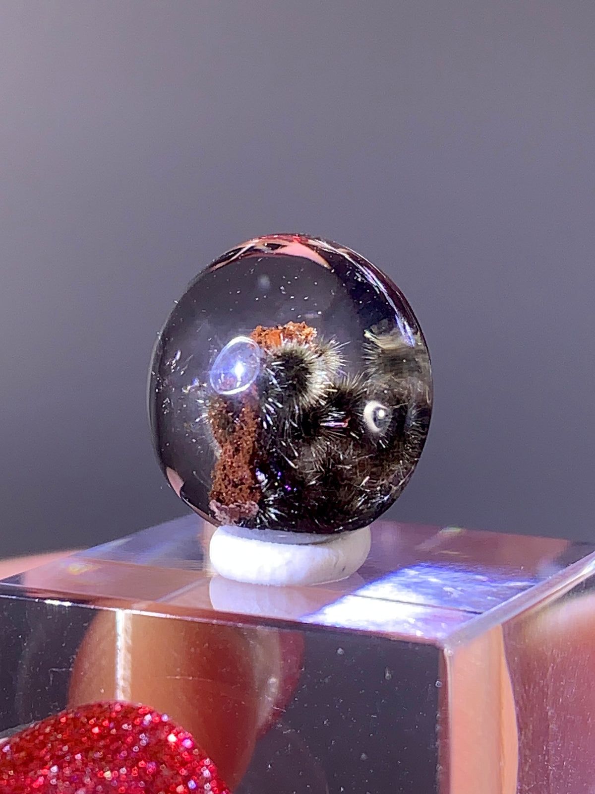 High-Quality Gold Flower Rutile with Red Garden Quartz Cabochon | Brazil