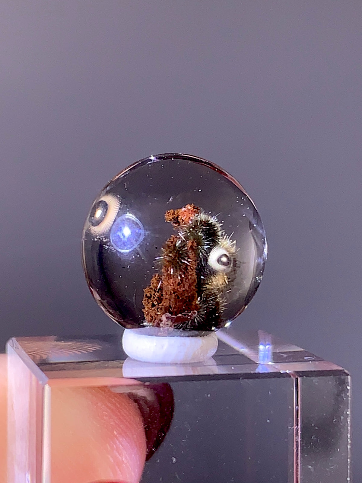High-Quality Gold Flower Rutile with Red Garden Quartz Cabochon | Brazil
