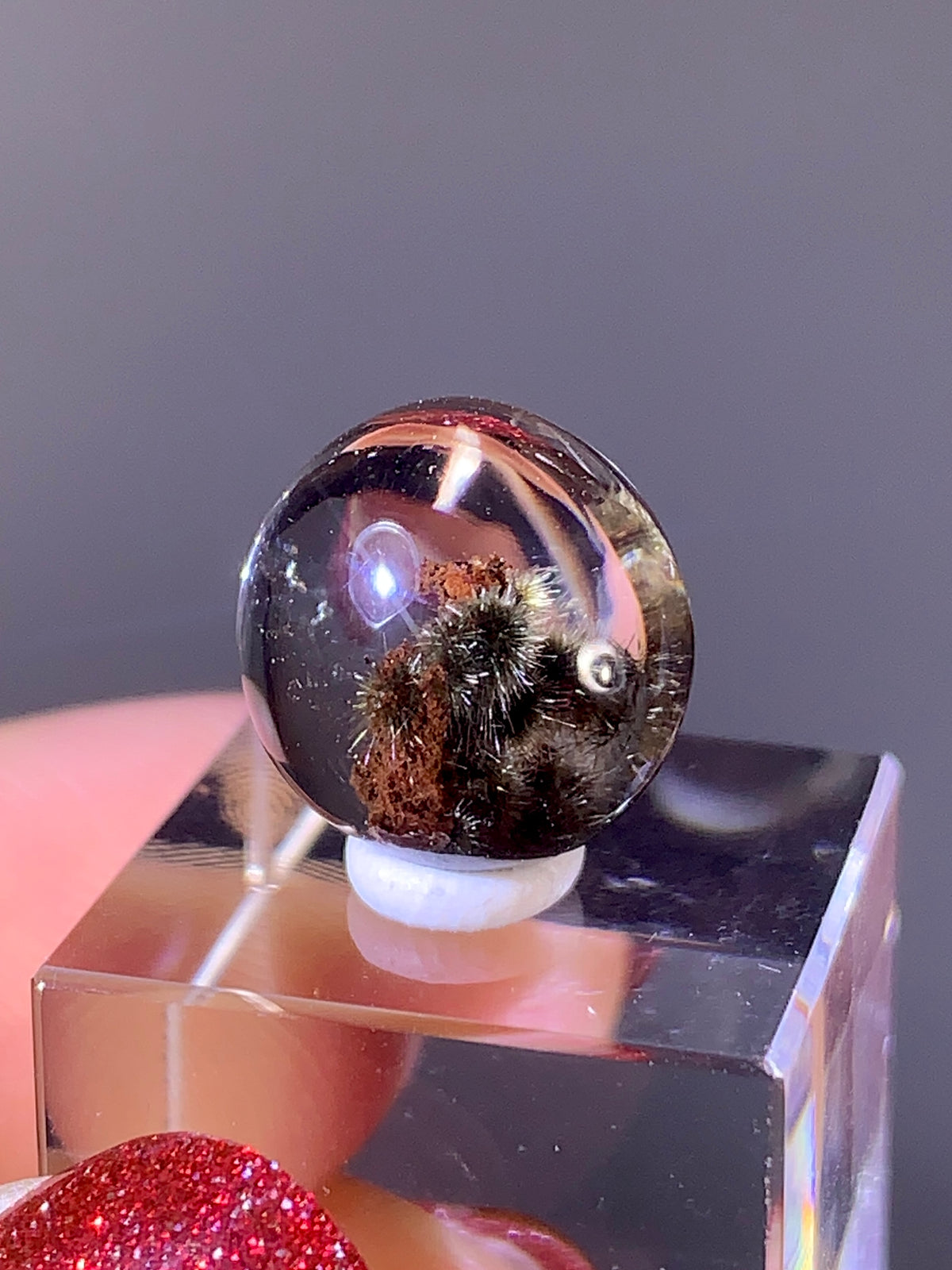 High-Quality Gold Flower Rutile with Red Garden Quartz Cabochon | Brazil