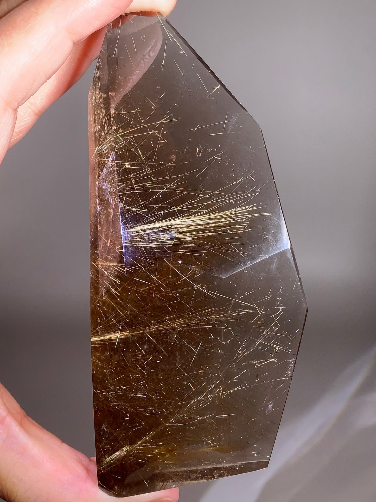High-Quality Large Shooting-Star Rutile in Standing Smoky Quartz Freeform from Brazil