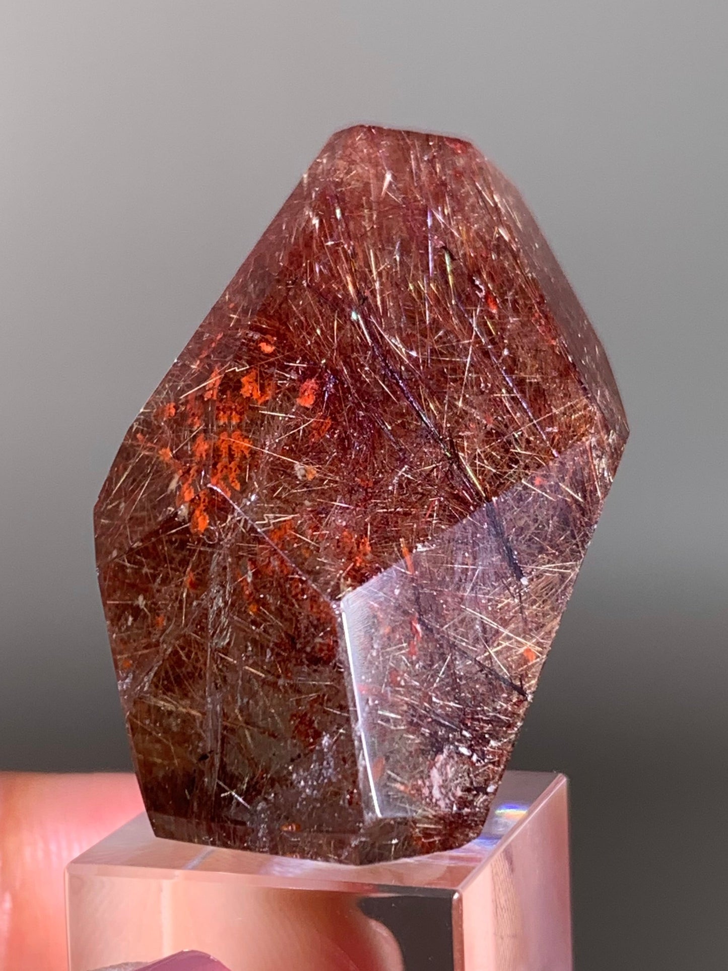 Red Rutile with Red Garden Quartz Polished Freeform — Brazil