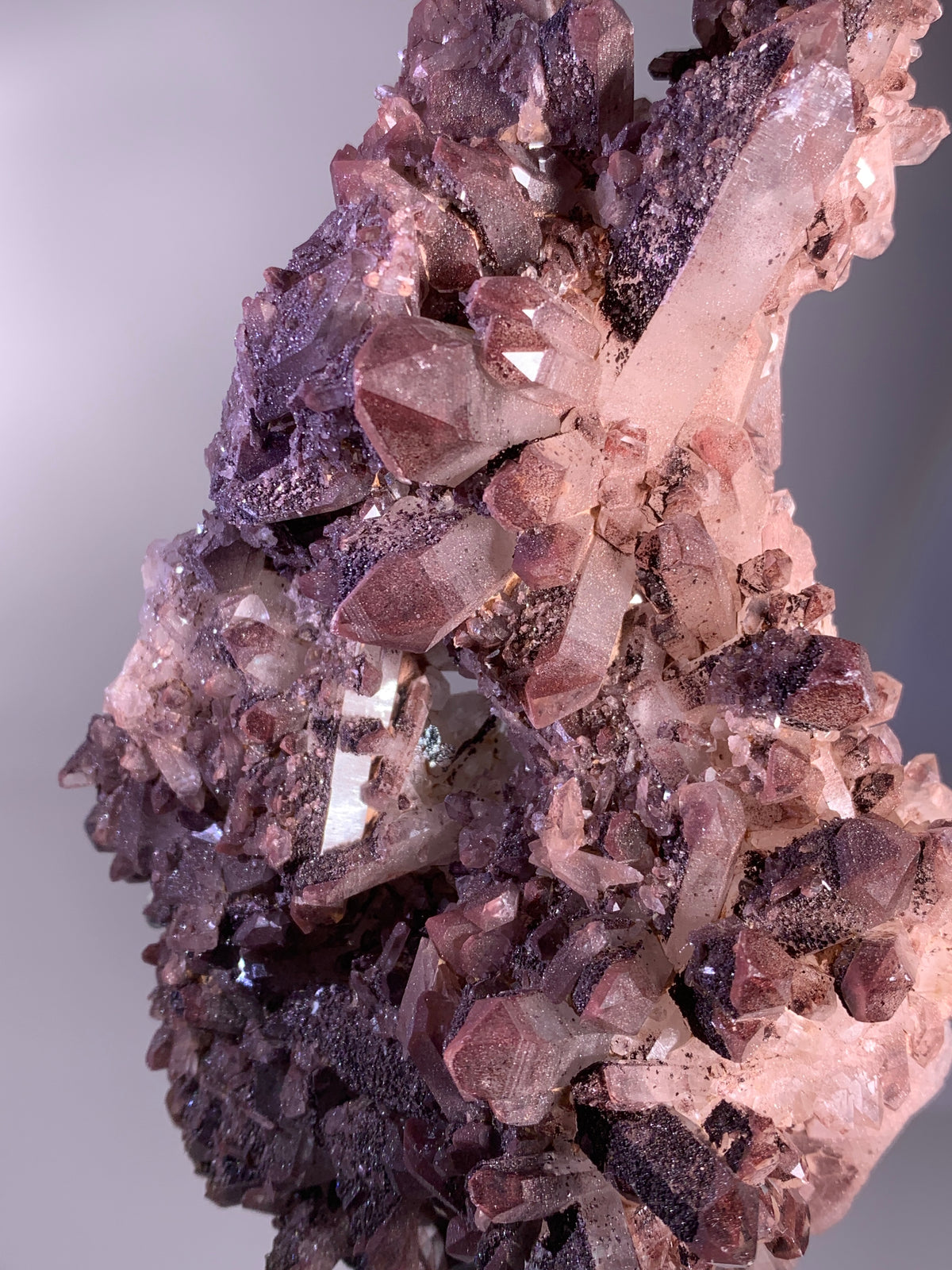 Sparkling Pink & Purple Hematite-Coated Quartz Cluster | Rare Collector’s Mineral Specimen