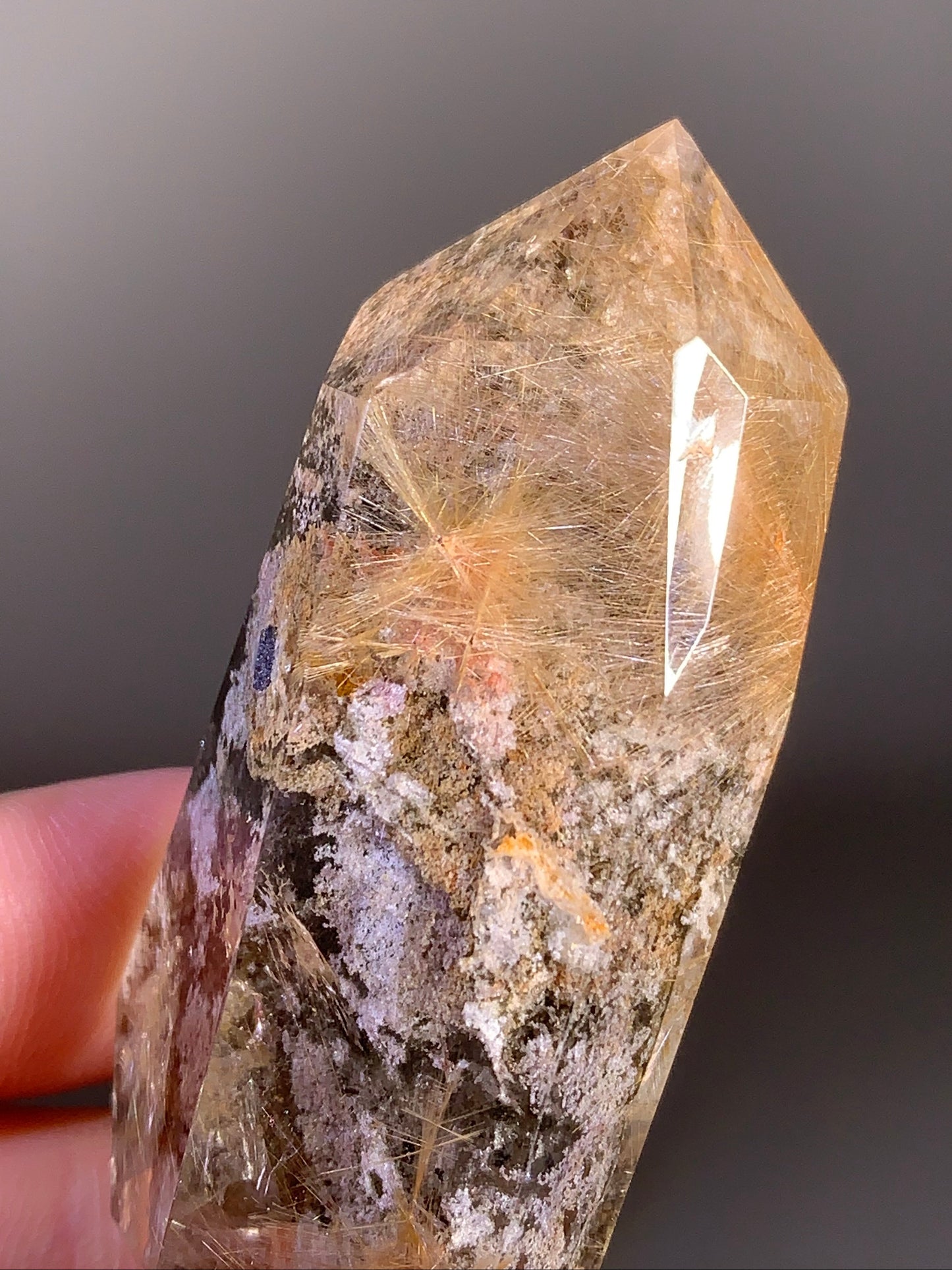 Collector’s Piece Double-Terminated Gold Rutile Flower Quartz with Garden Inclusions from Brazil