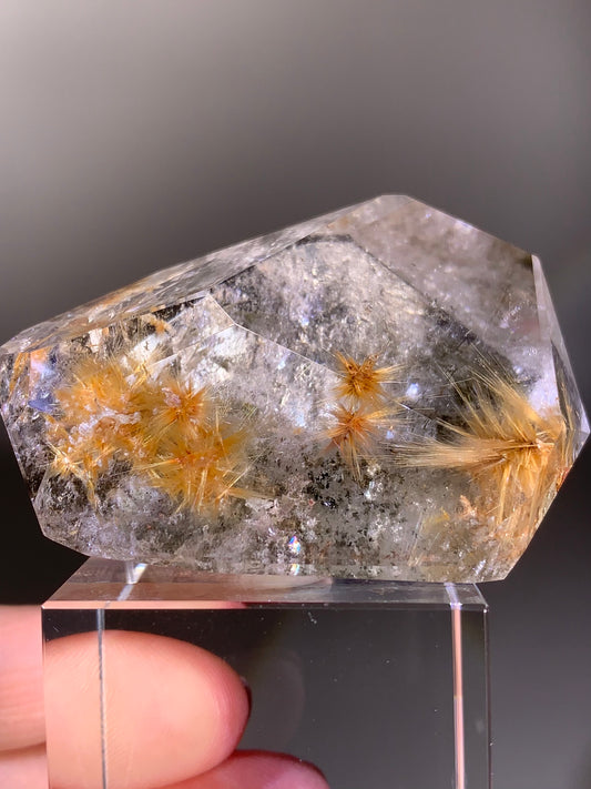 Collector’s Piece Gold Flower Rutile Quartz Polished Freeform with Garden Inclusions from Brazil