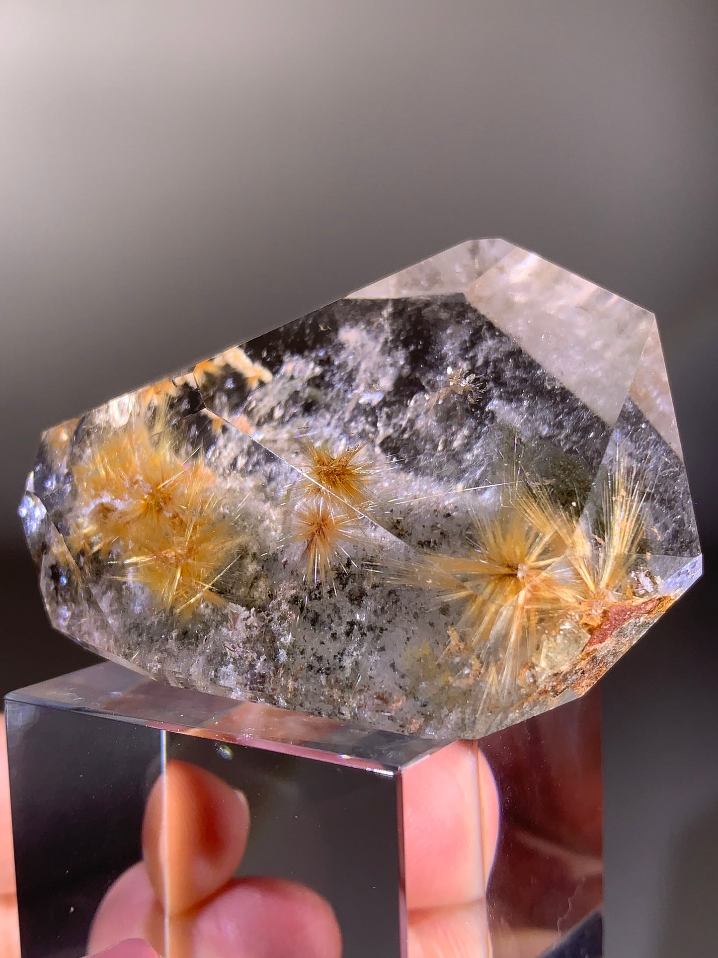 Collector’s Piece Gold Flower Rutile Quartz Polished Freeform with Garden Inclusions from Brazil