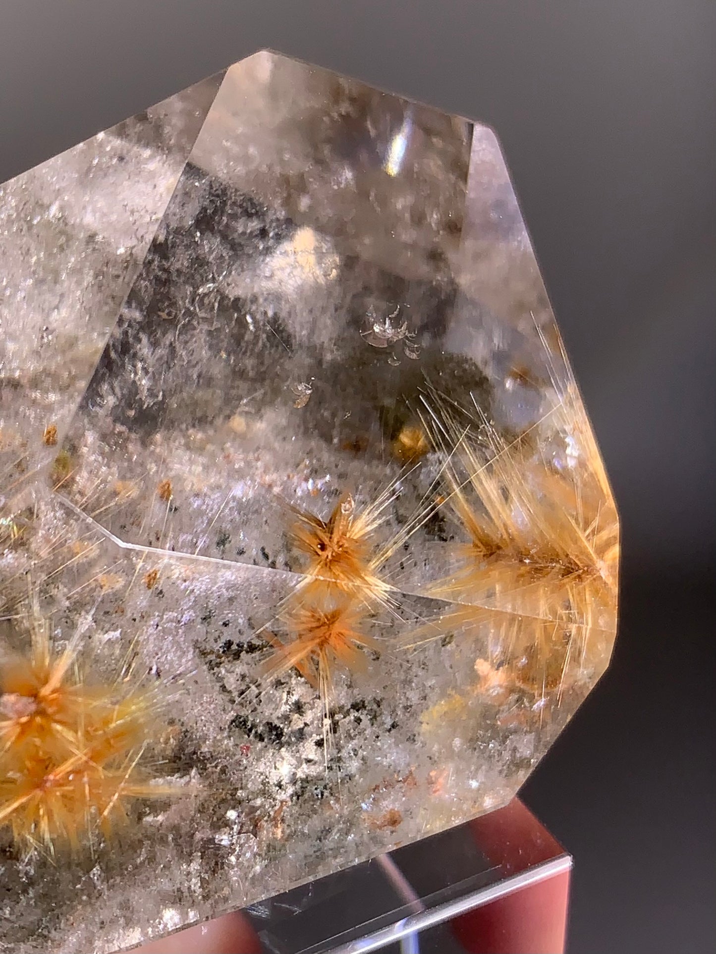 Collector’s Piece Gold Flower Rutile Quartz Polished Freeform with Garden Inclusions from Brazil
