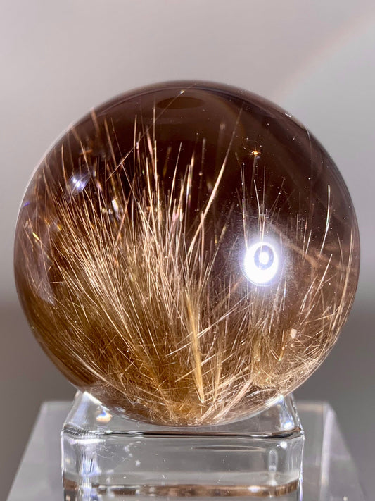 Large Collector’s Grade Gold Rutile in Smoky Quartz Sphere from Brazil