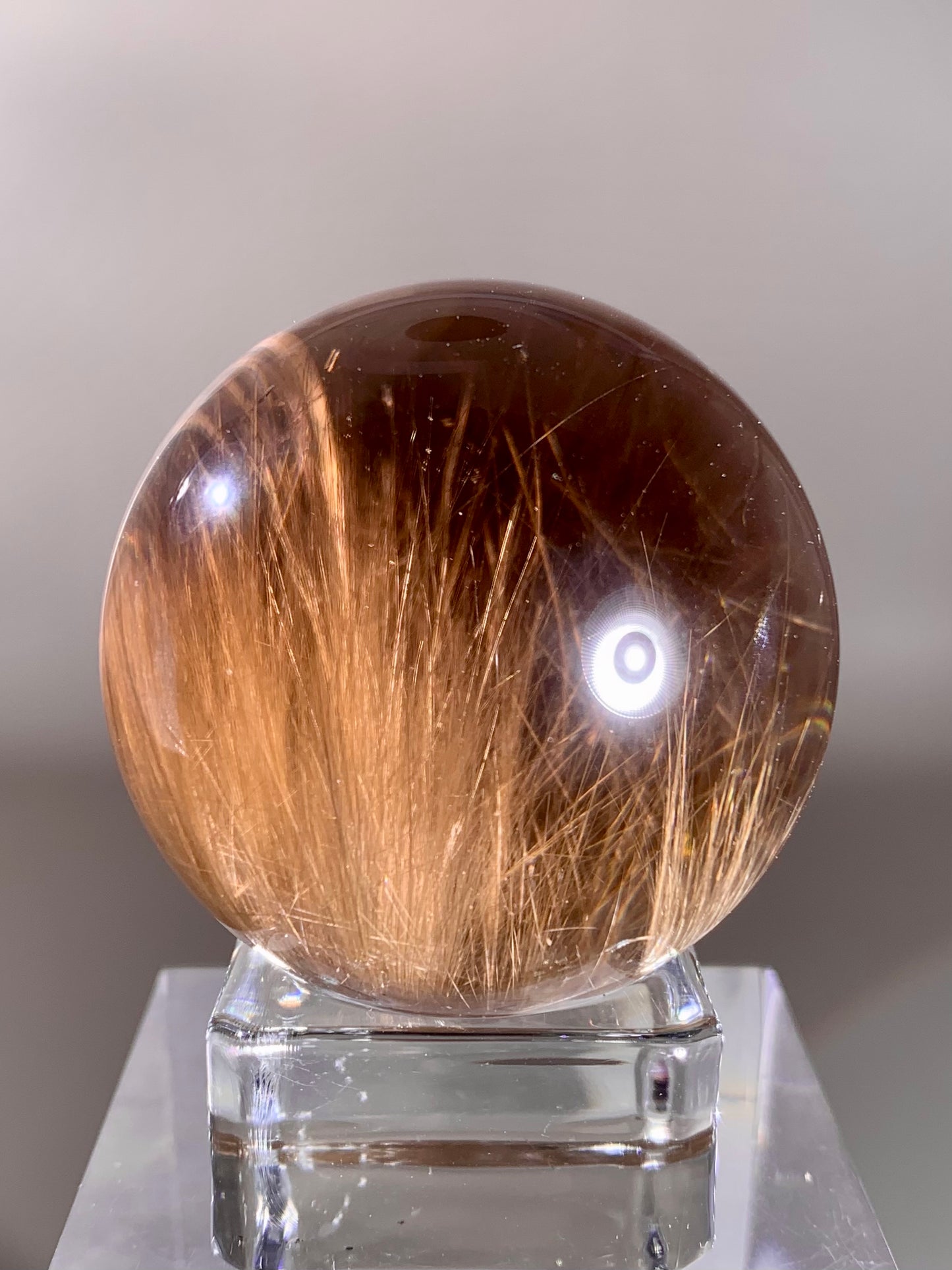 Large Collector’s Grade Gold Rutile in Smoky Quartz Sphere from Brazil