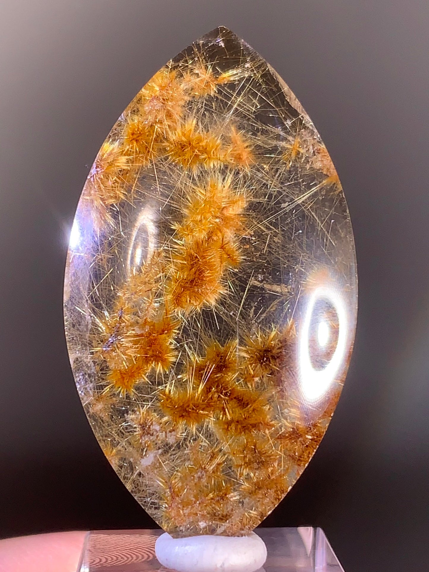 Collector’s Grade Gold Flower Rutile Quartz from Brazil
