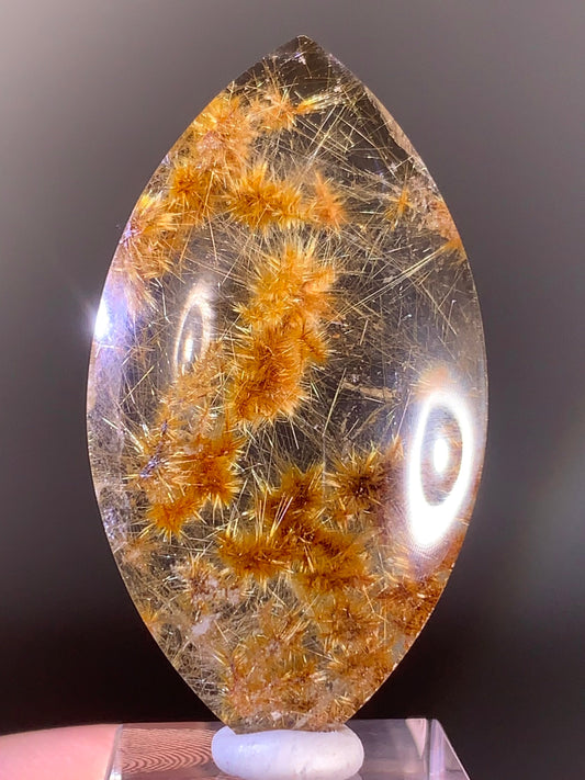 Collector’s Grade Gold Flower Rutile Quartz from Brazil