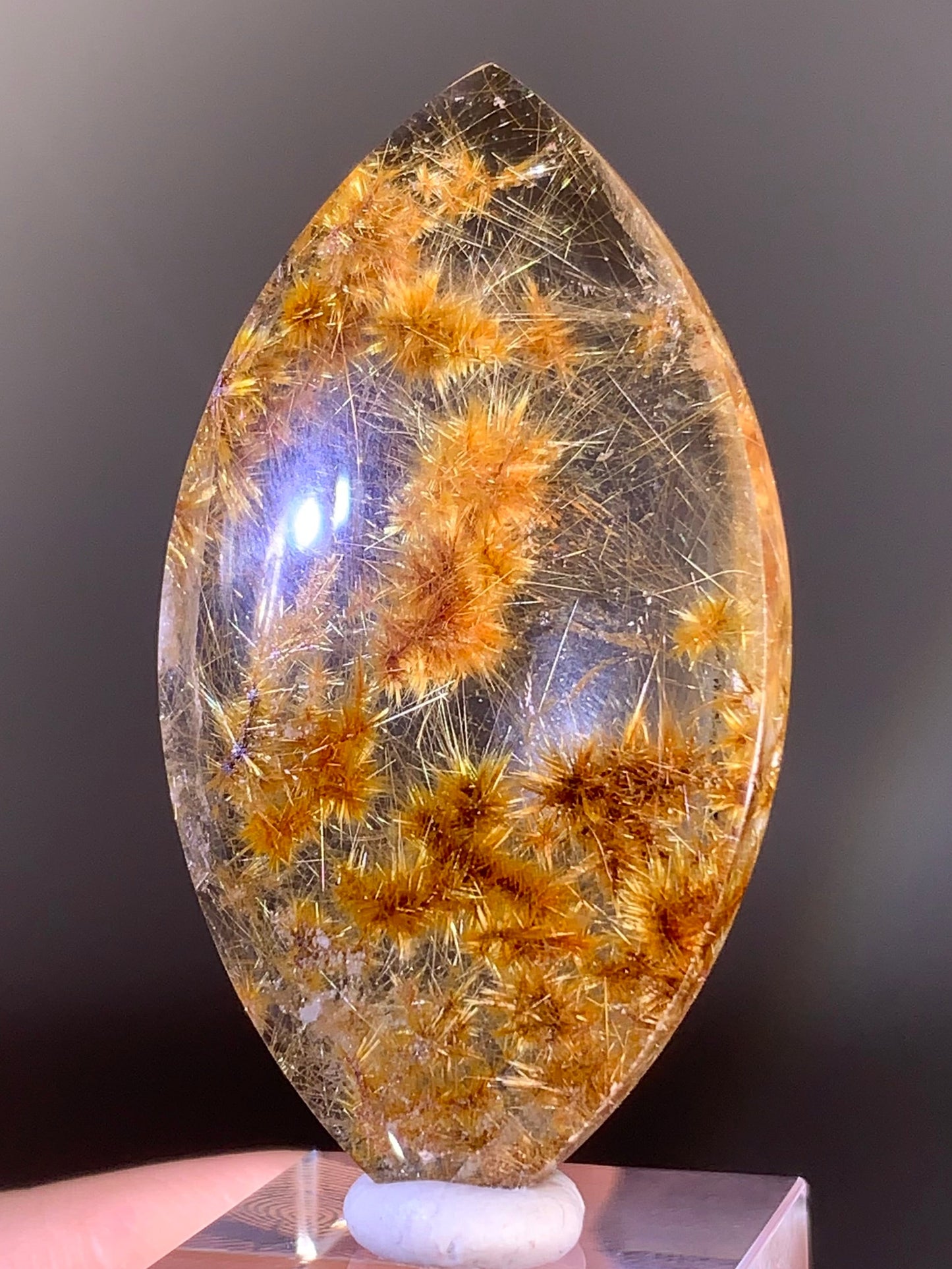 Collector’s Grade Gold Flower Rutile Quartz from Brazil