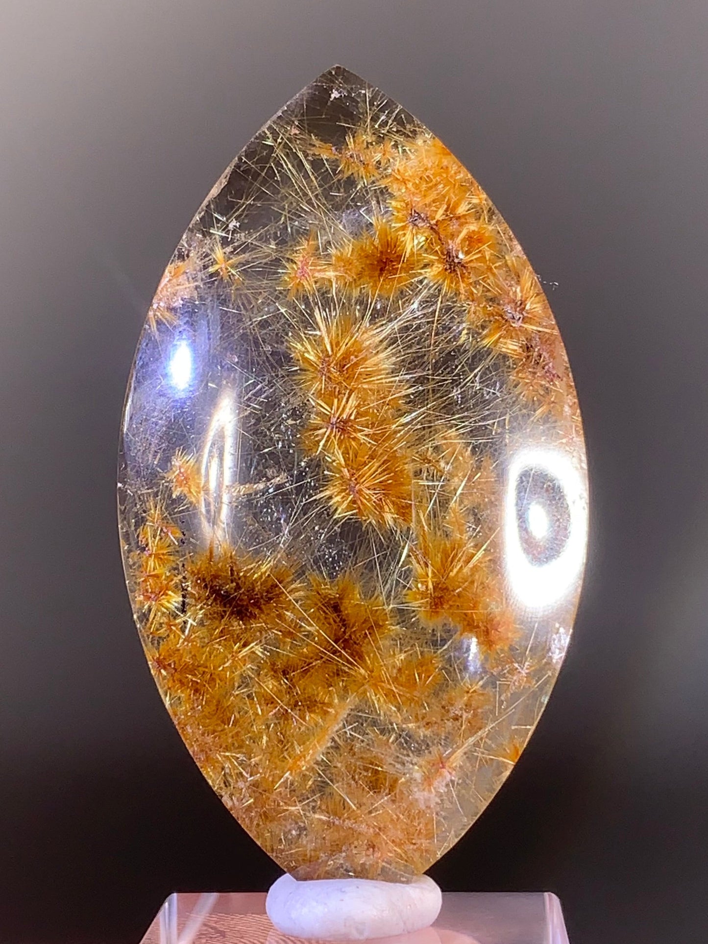 Collector’s Grade Gold Flower Rutile Quartz from Brazil