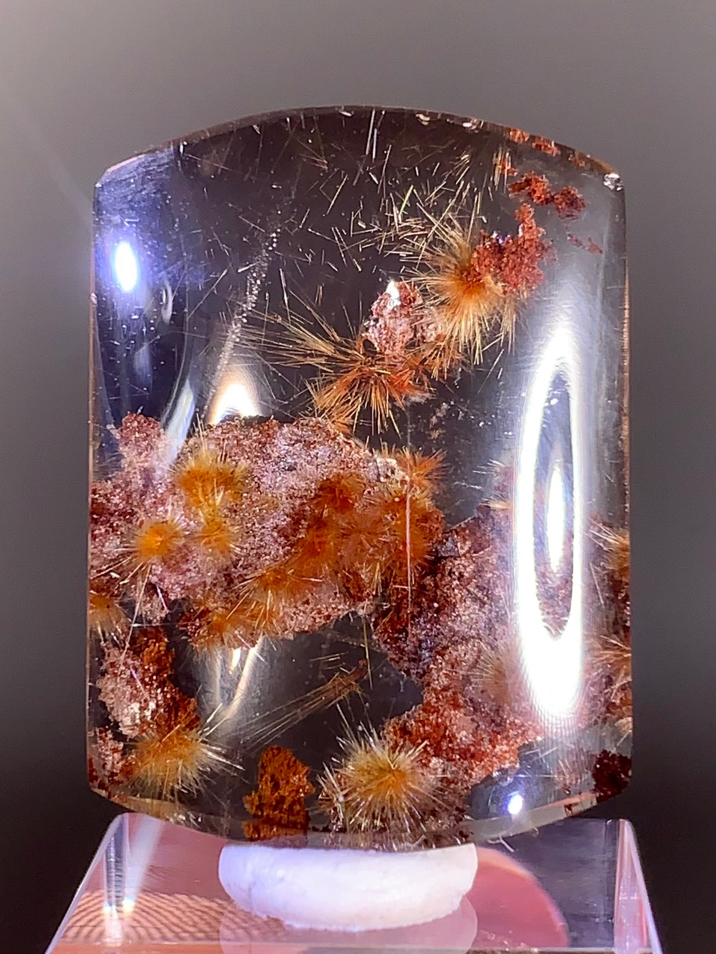 Collector’s Grade Scenic Gold Flower Rutile with Red Garden Quartz from Brazil