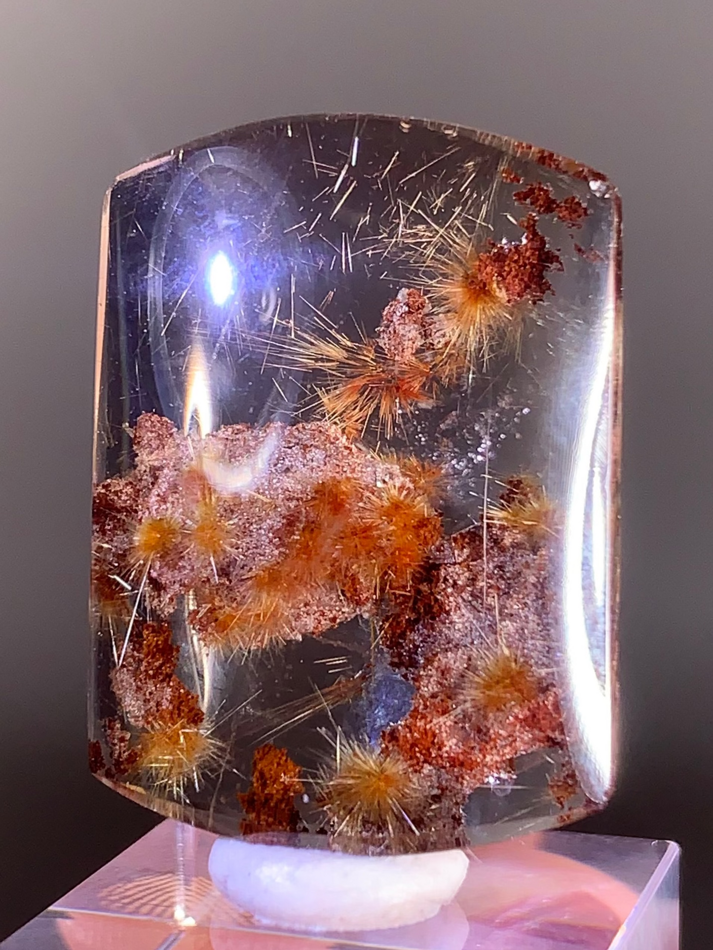 Collector’s Grade Scenic Gold Flower Rutile with Red Garden Quartz from Brazil