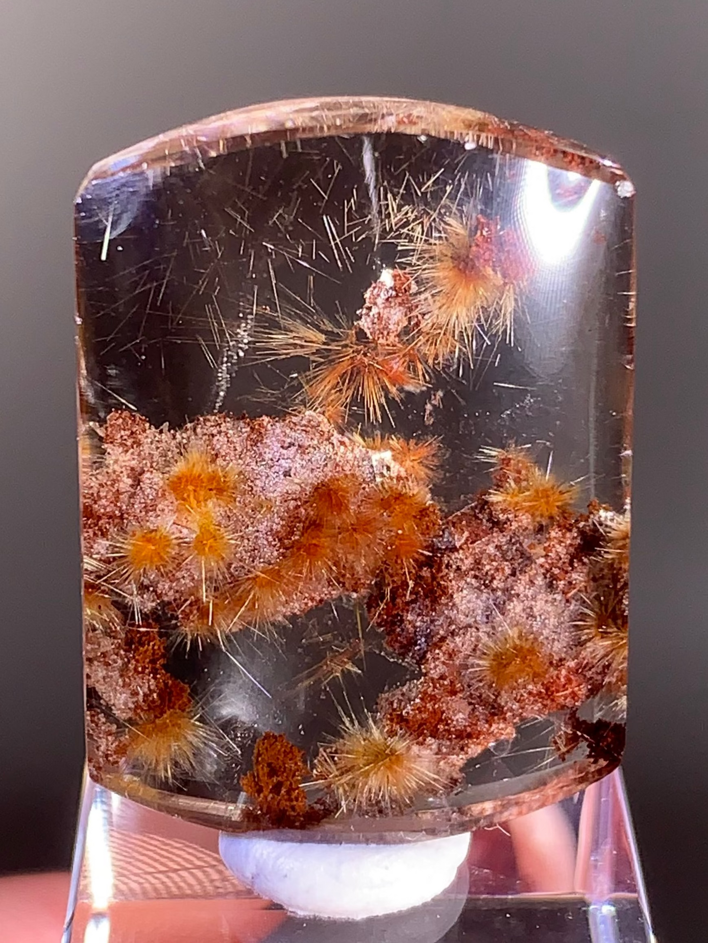 Collector’s Grade Scenic Gold Flower Rutile with Red Garden Quartz from Brazil