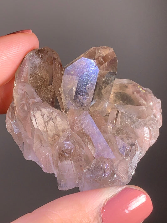 Gold Rutile and Pink Lodolite in Smoky Quartz Raw Cluster from Brazil