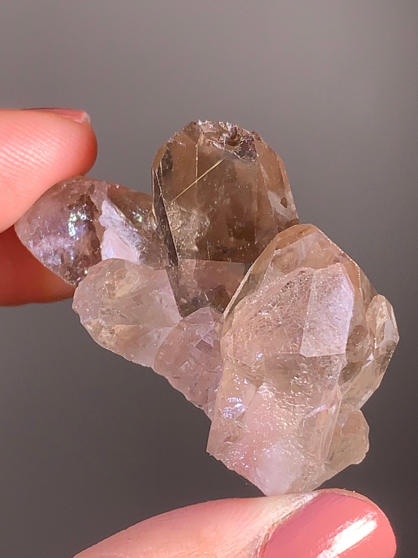 Gold Rutile and Pink Lodolite in Smoky Quartz Raw Cluster from Brazil