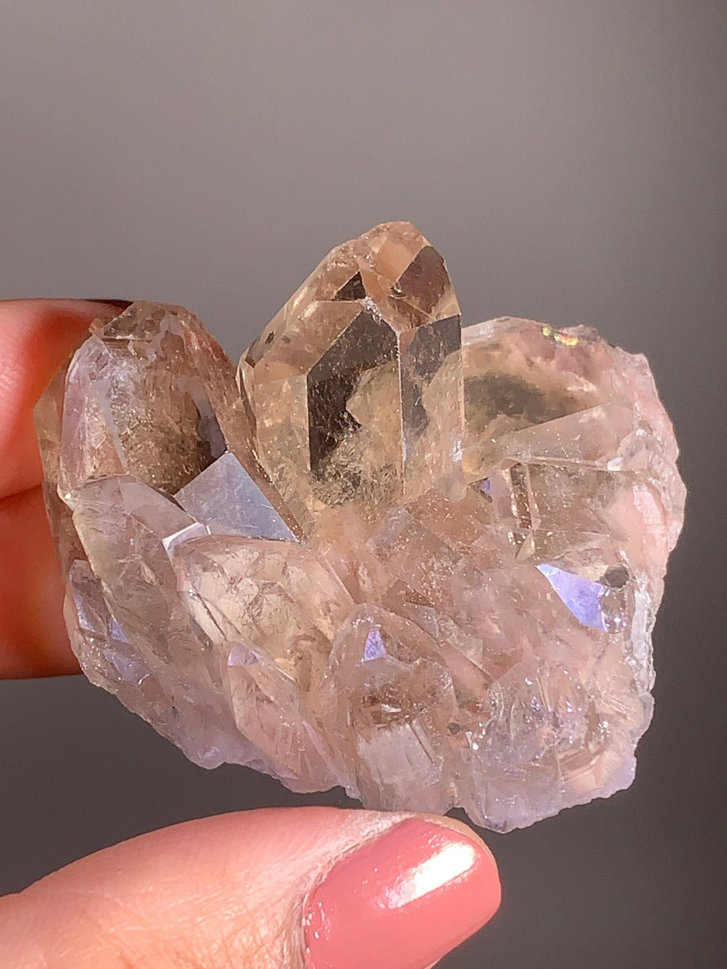 Gold Rutile and Pink Lodolite in Smoky Quartz Raw Cluster from Brazil