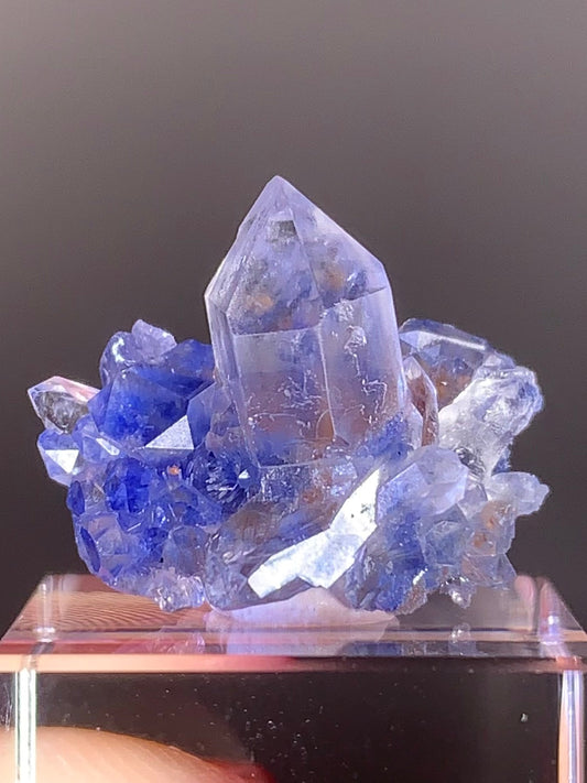 Blue Dumortierite Raw Cluster from Brazil | Collector Mineral Specimen