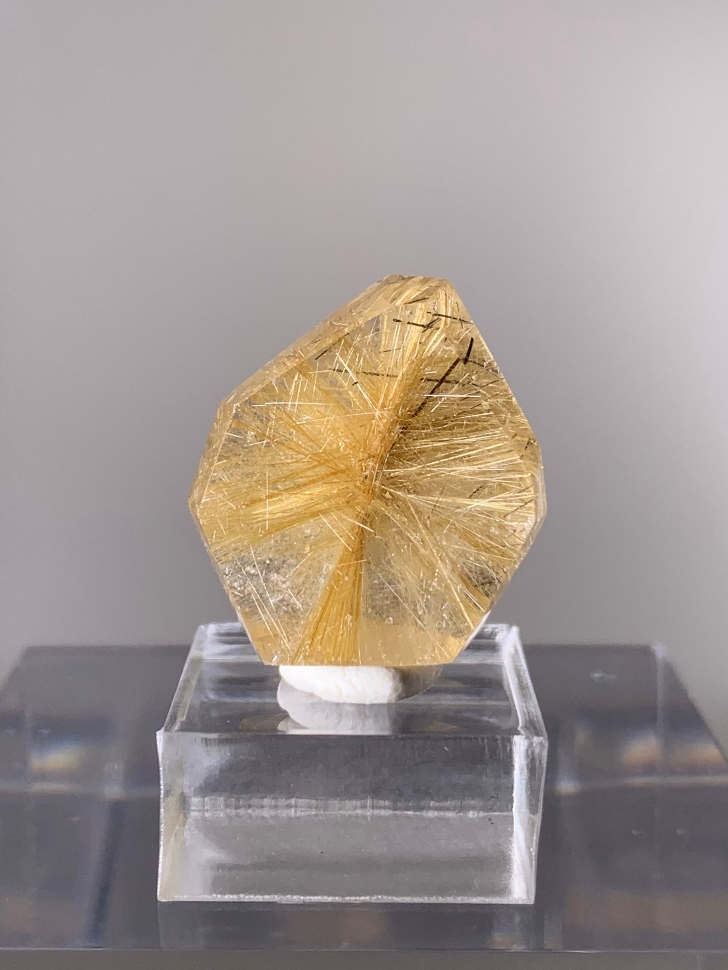 Gold & Black Rutile Quartz Polished Mini Freeform