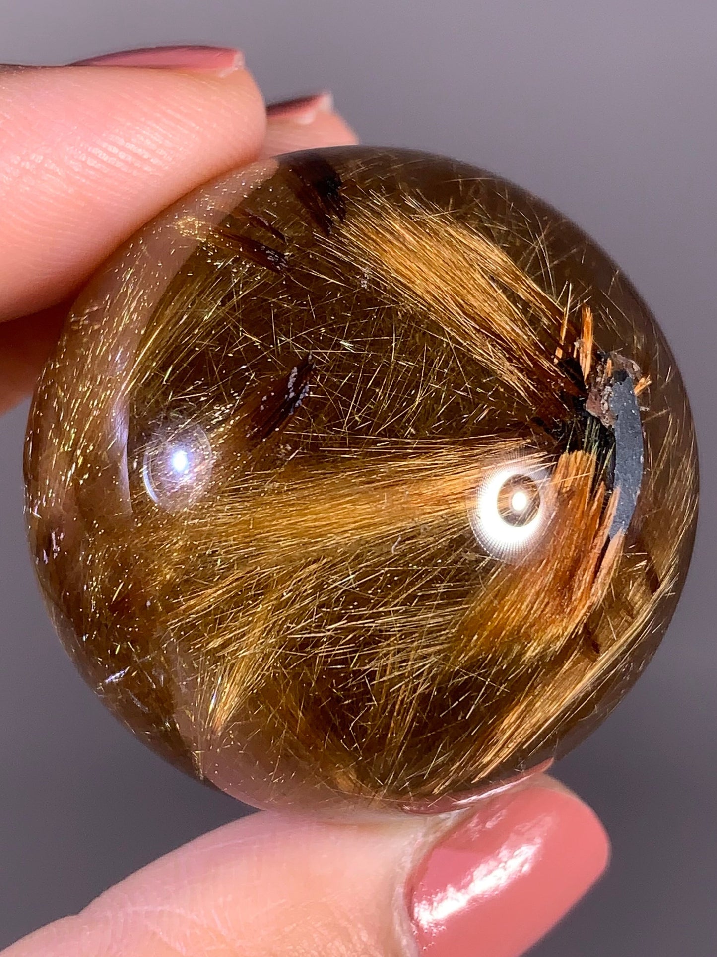 Collector’s Grade Novo Horizonte Gold Starburst Rutile Quartz Sphere from Brazil