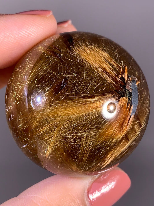 Collector’s Grade Novo Horizonte Gold Starburst Rutile Quartz Sphere from Brazil