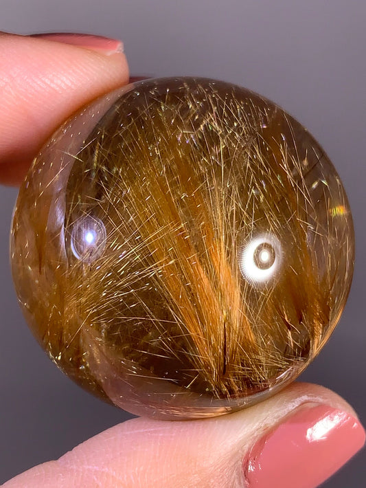 Collector’s Grade Novo Horizonte Gold Starburst Rutile Quartz Sphere from Brazil
