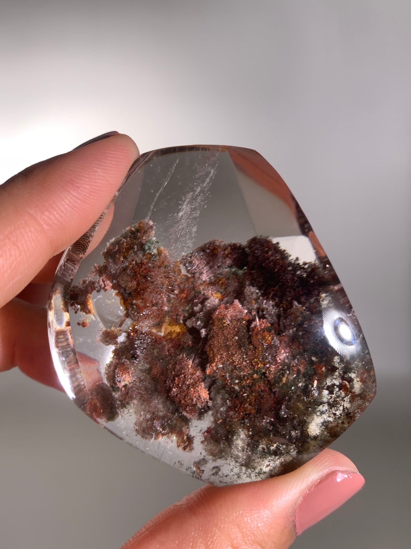 Red Autumn Scene Garden Quartz Polished Freeform Brazil