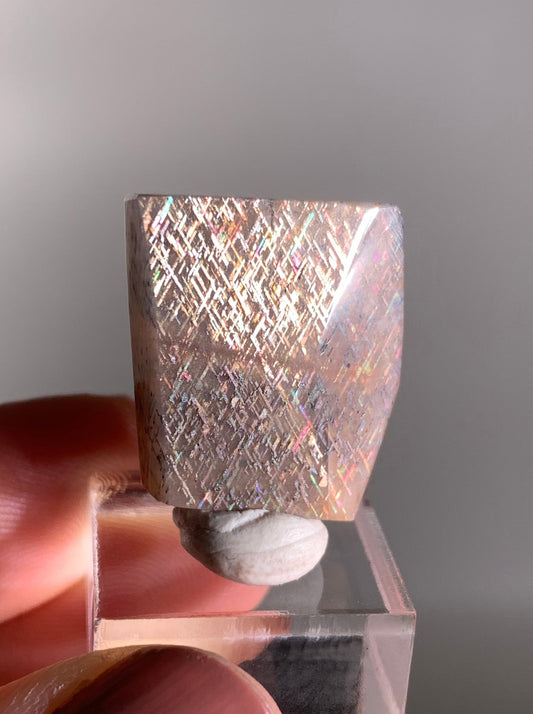 Rainbow Lattice Sunstone Polished Freeform