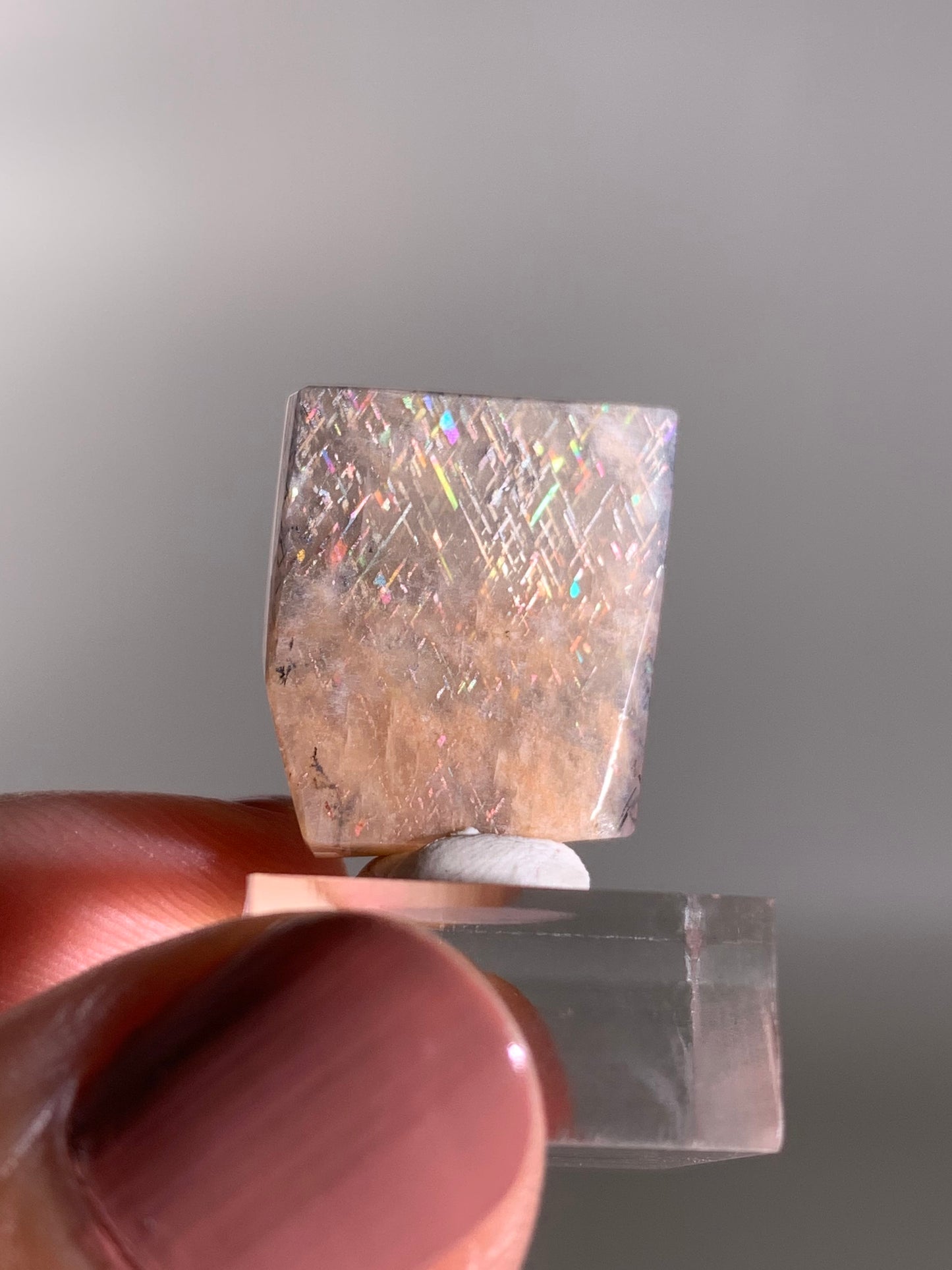 Rainbow Lattice Sunstone Polished Freeform