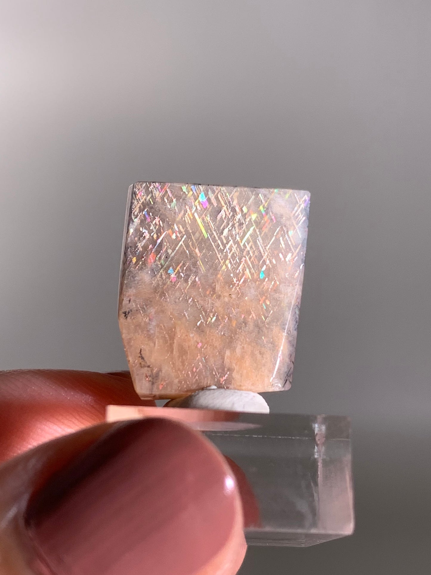 Rainbow Lattice Sunstone Polished Freeform