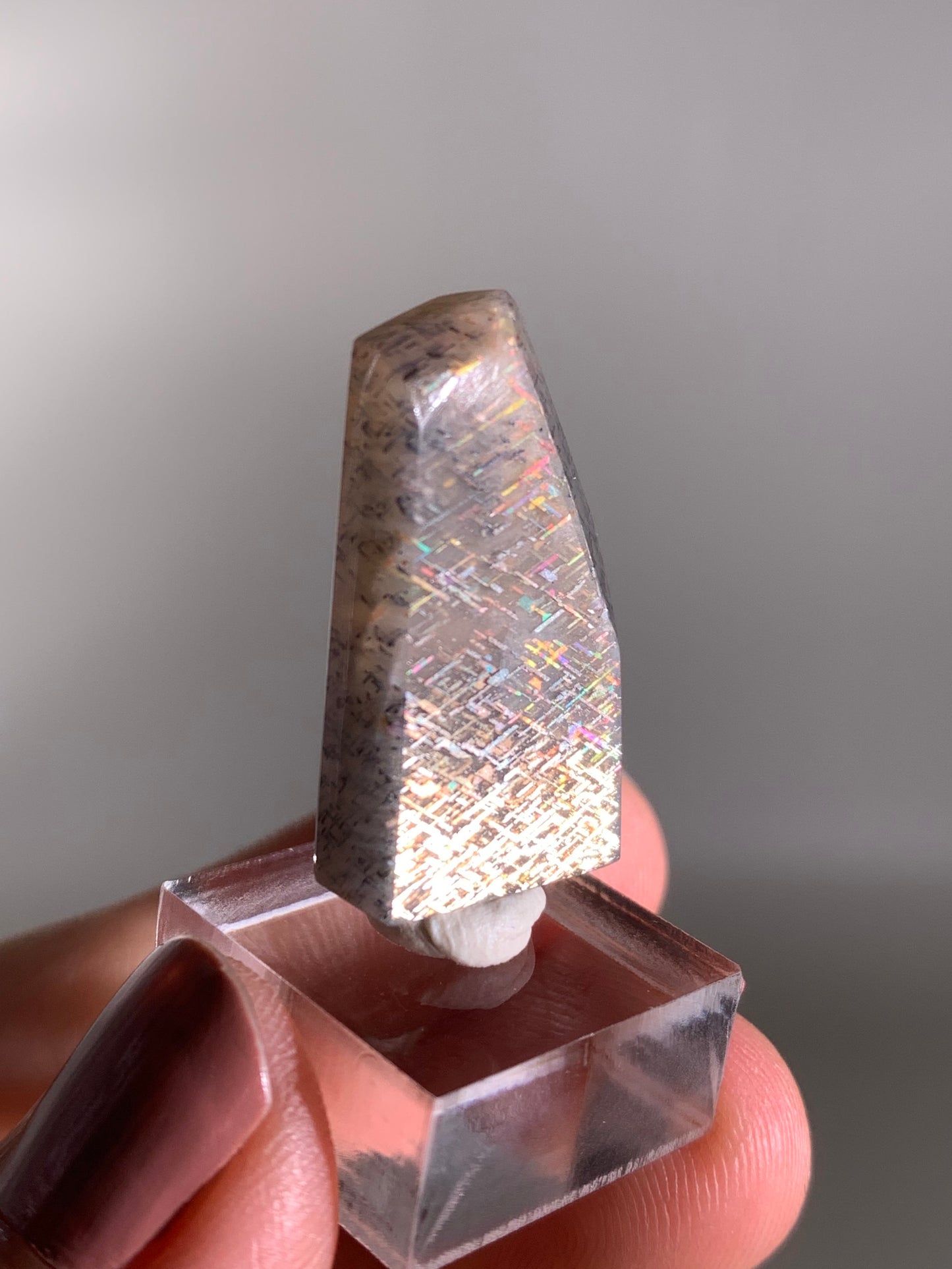 Rainbow Lattice Sunstone Polished Freeform