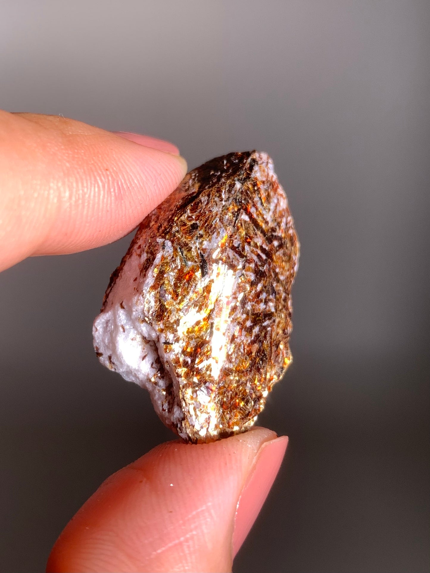 Astrophyllite Specimen