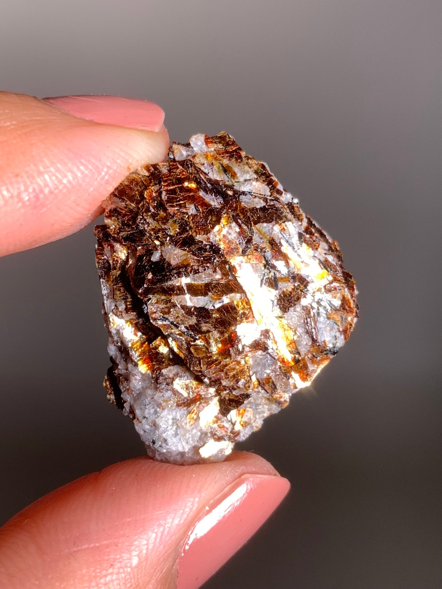 Astrophyllite Specimen