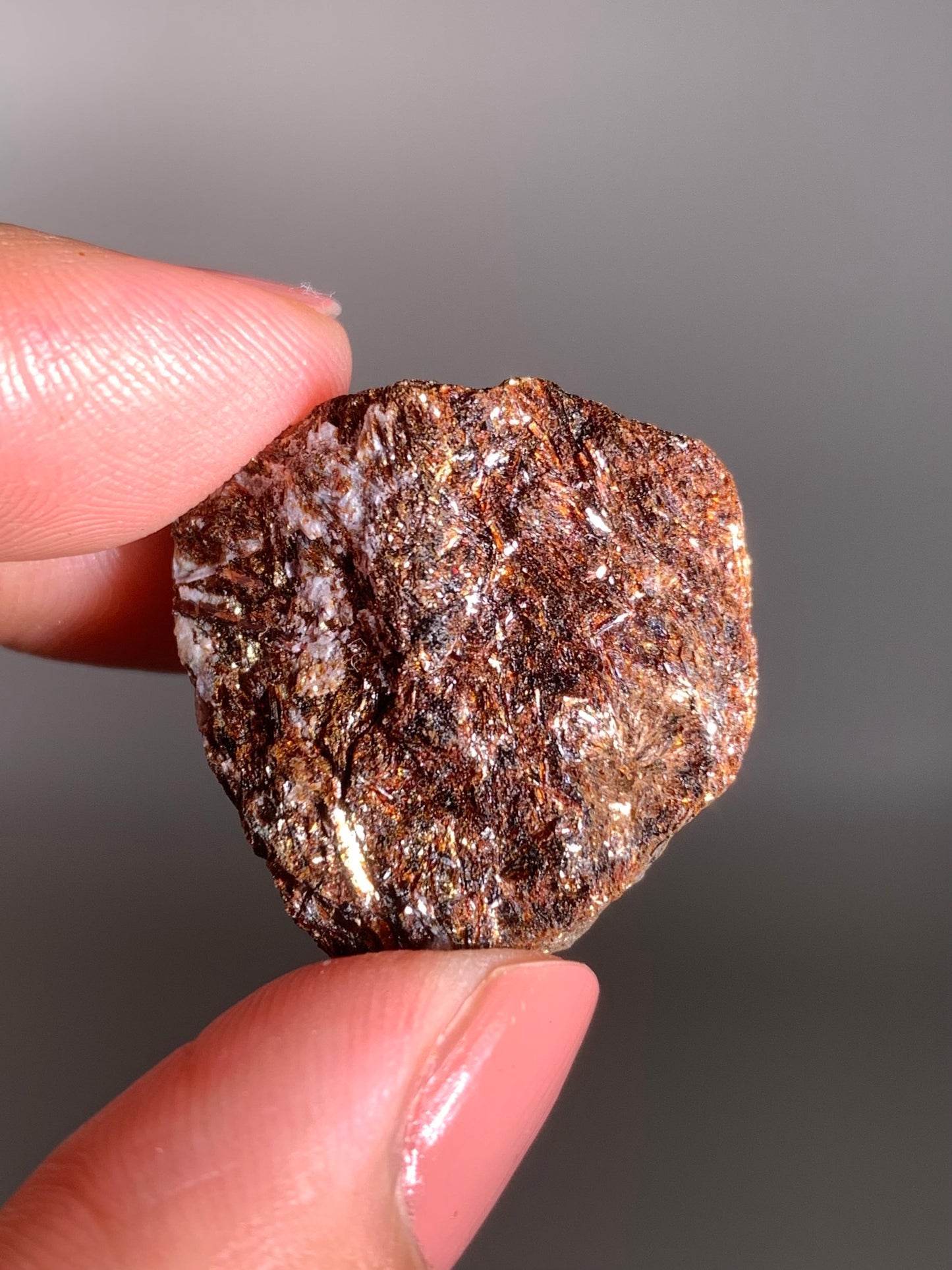 Astrophyllite Specimen