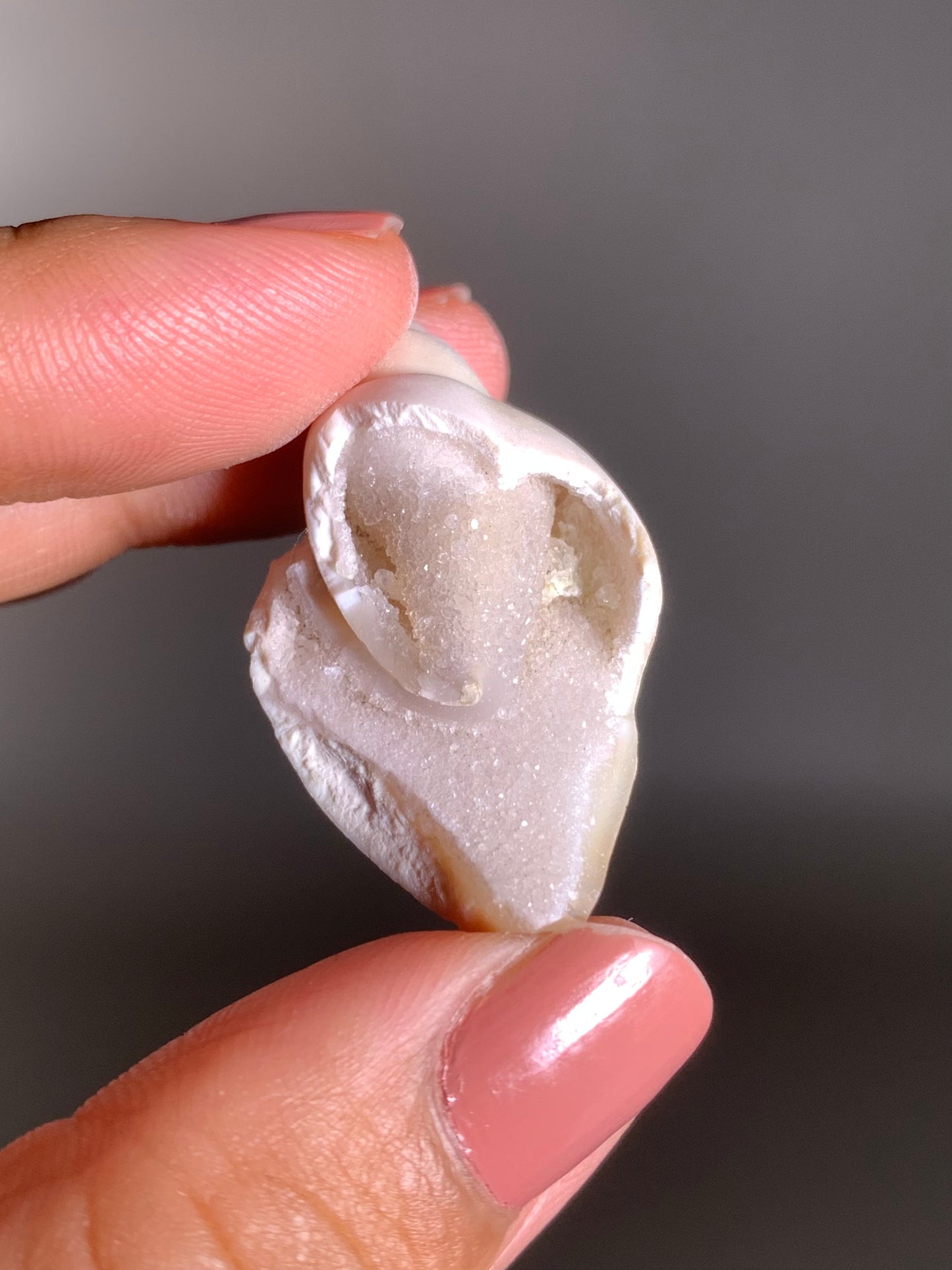 Fossilized Spiralite Quartz Shell