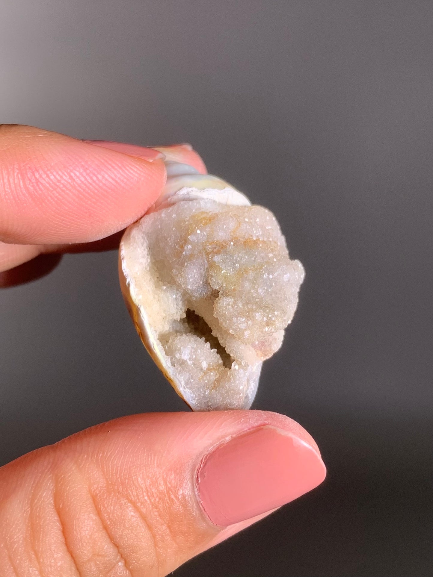 Fossilized Spiralite Quartz Shell