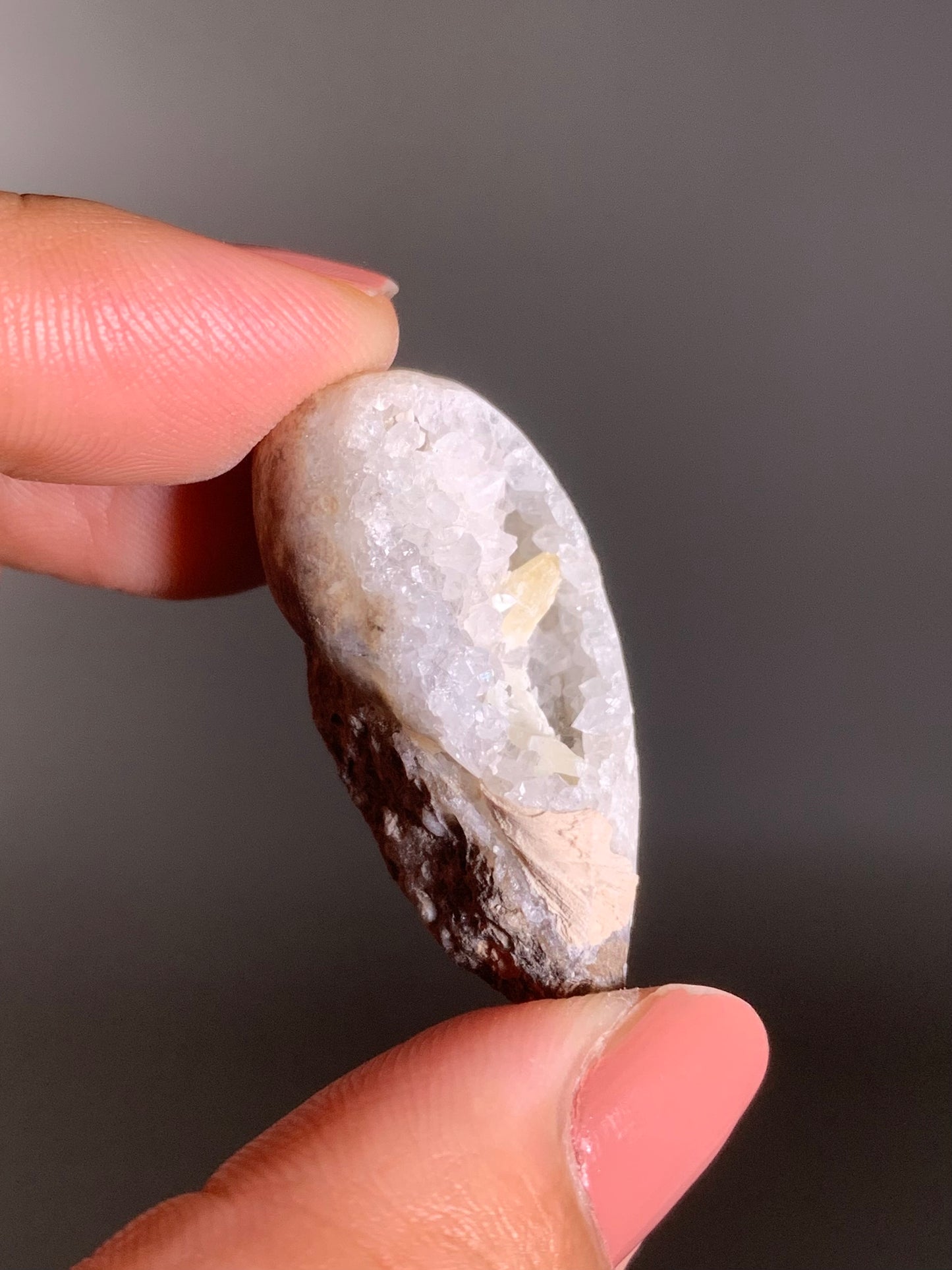 Fossilized Spiralite Quartz Shell