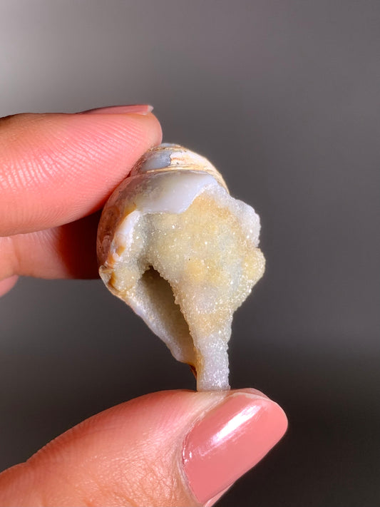 Fossilized Spiralite Quartz Shell