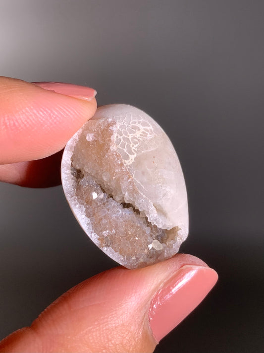 Fossilized Spiralite Quartz Shell