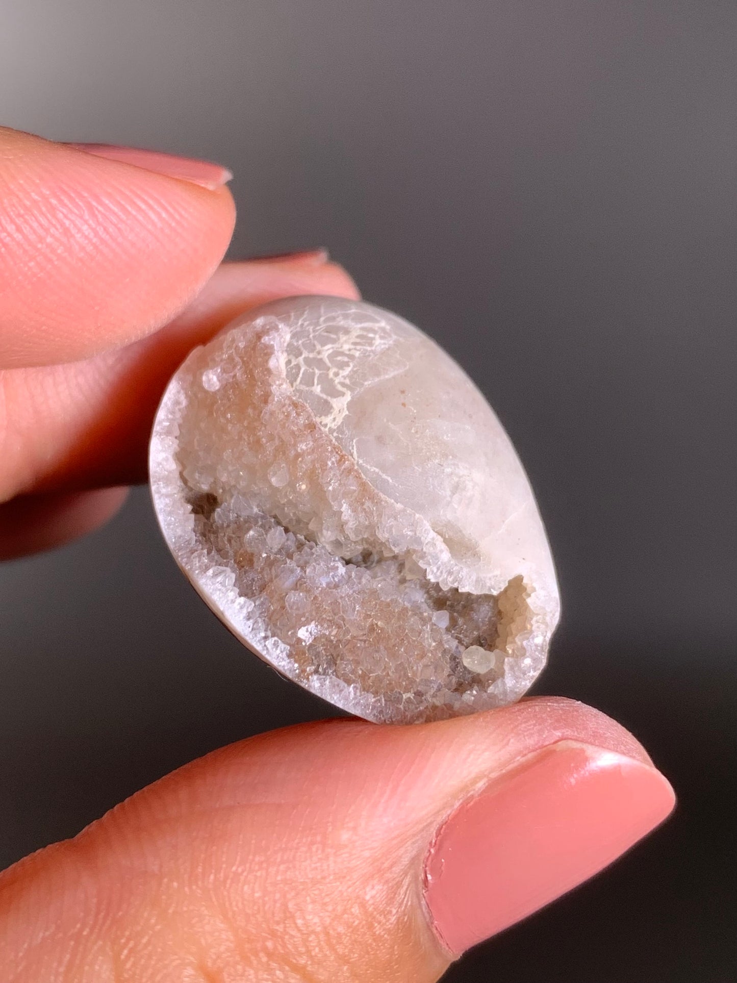 Fossilized Spiralite Quartz Shell