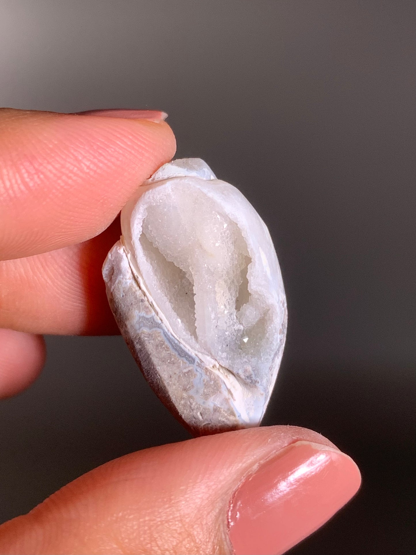 Fossilized Spiralite Quartz Shell