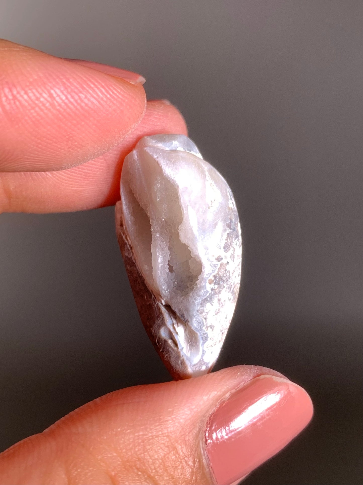 Fossilized Spiralite Quartz Shell