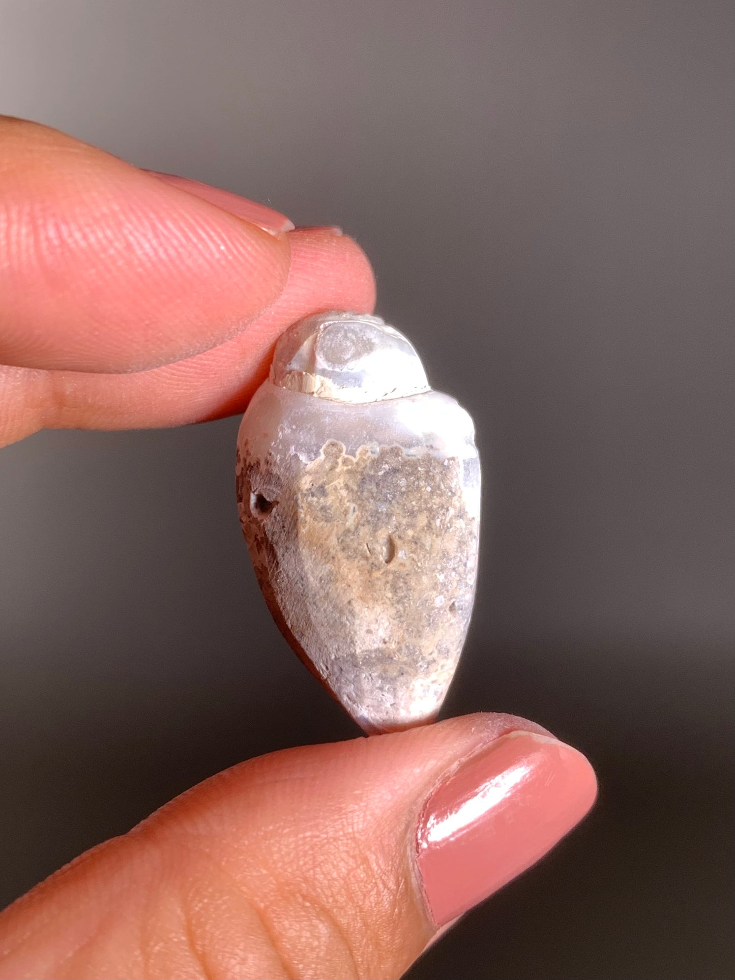 Fossilized Spiralite Quartz Shell