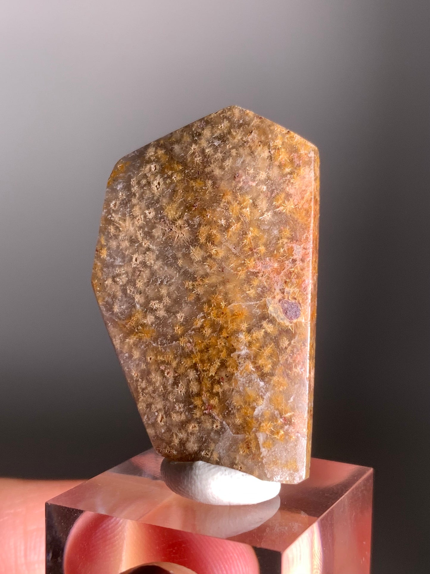 Rare Gold Flower Rutile Quartz Polished Freeform