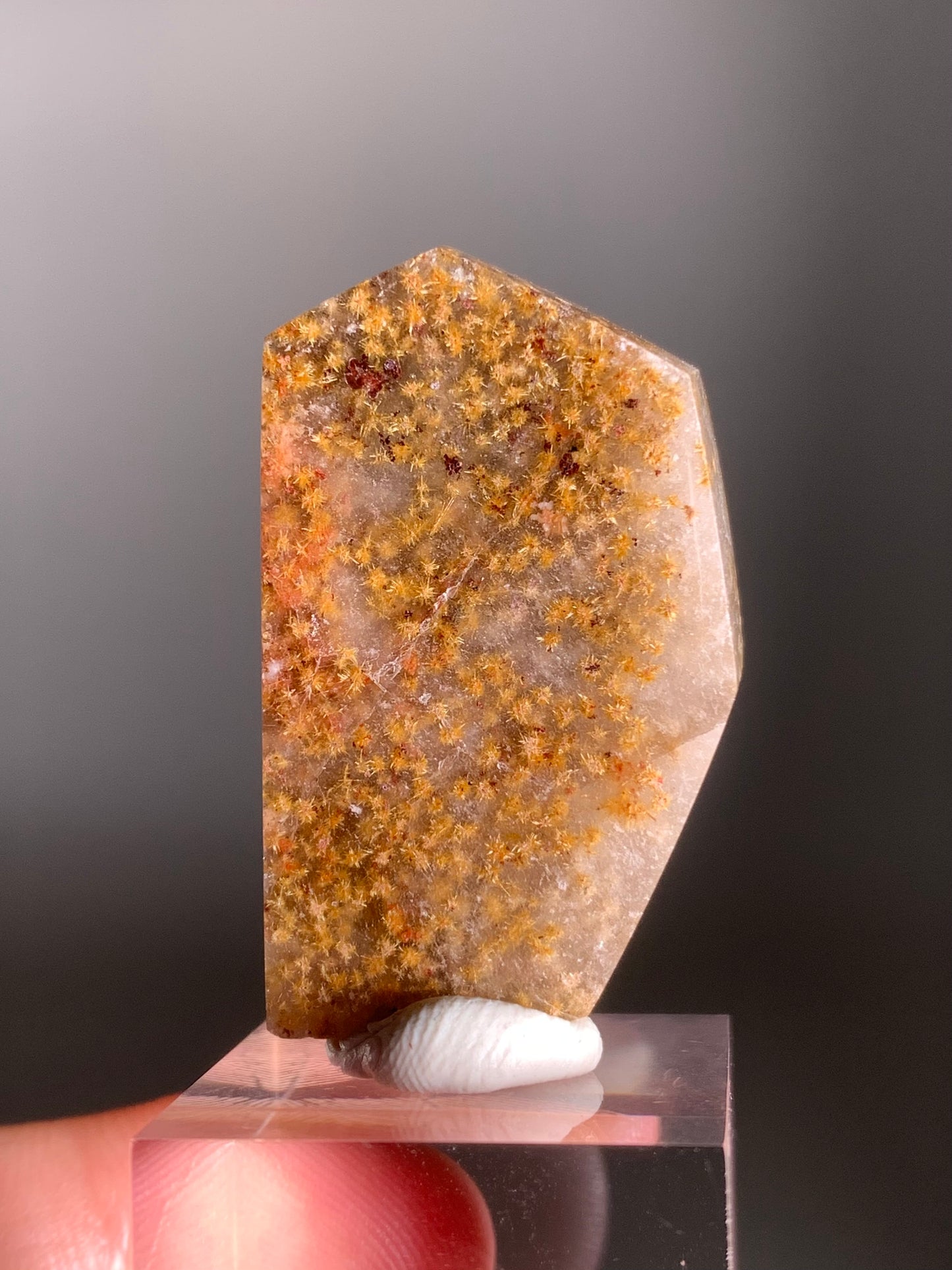 Rare Gold Flower Rutile Quartz Polished Freeform